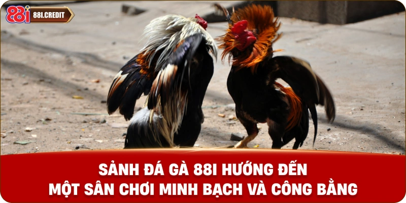 Sảnh đá gà 88i hướng đến một sân chơi minh bạch và công bằng